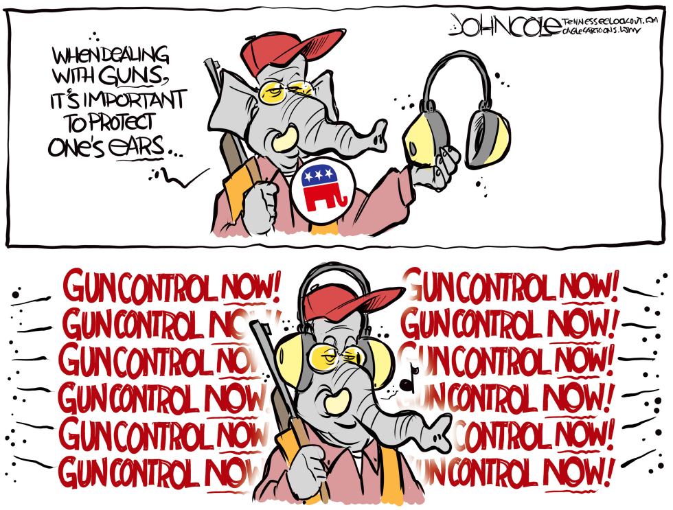 NATIONAL Gun noise reduction
