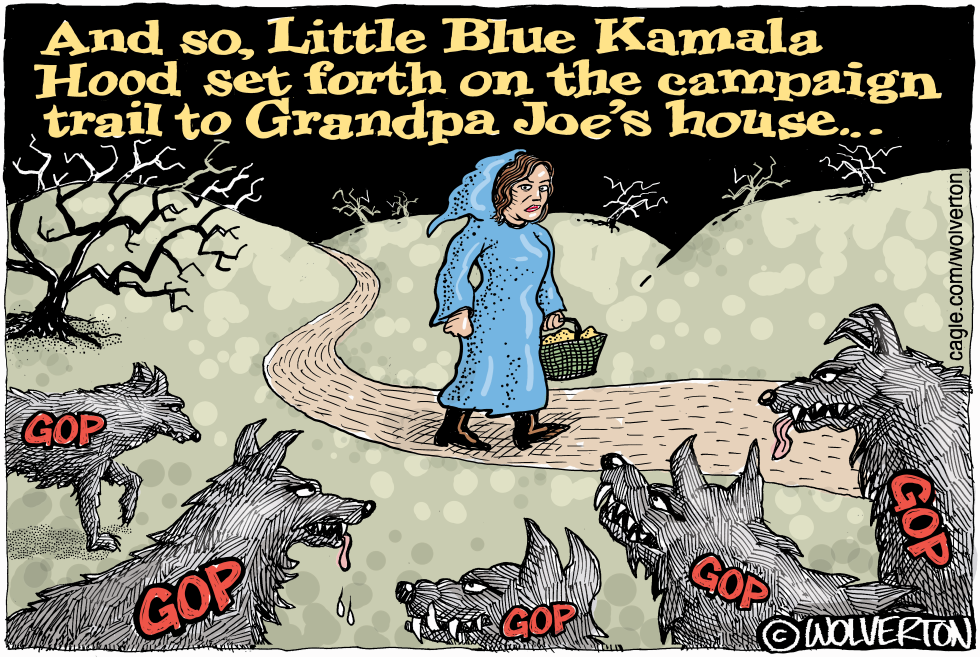 Little Blue Kamala Hood