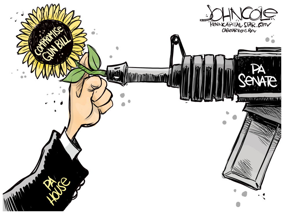 PENNSYLVANIA Compromise gun bill