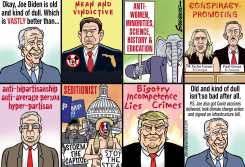 BIDEN OLD AND DULL by Steve Greenberg