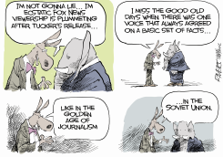FOX DECLINE by Rivers