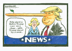 2024 PRESIDENTIAL POLLS by Jimmy Margulies