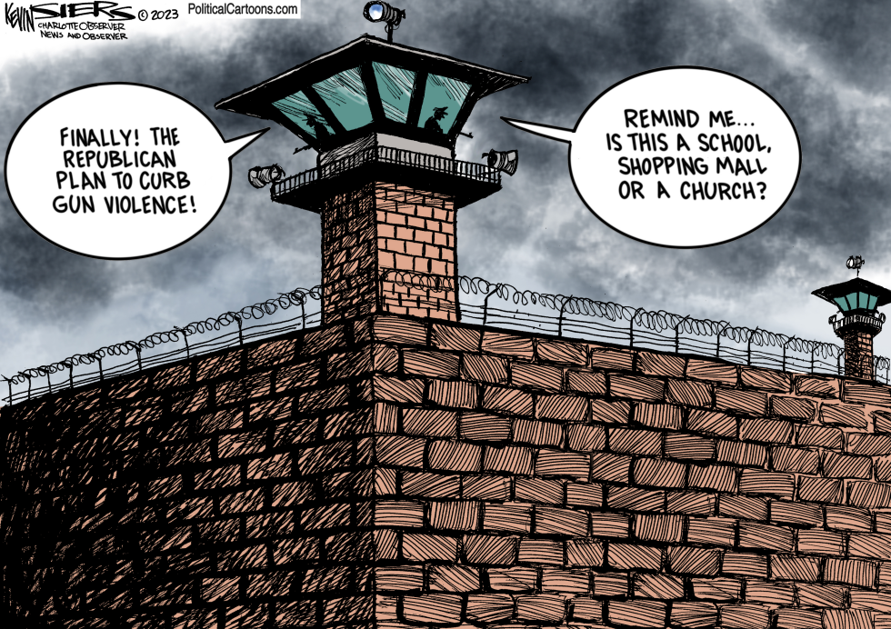 GOP Gun safety solution