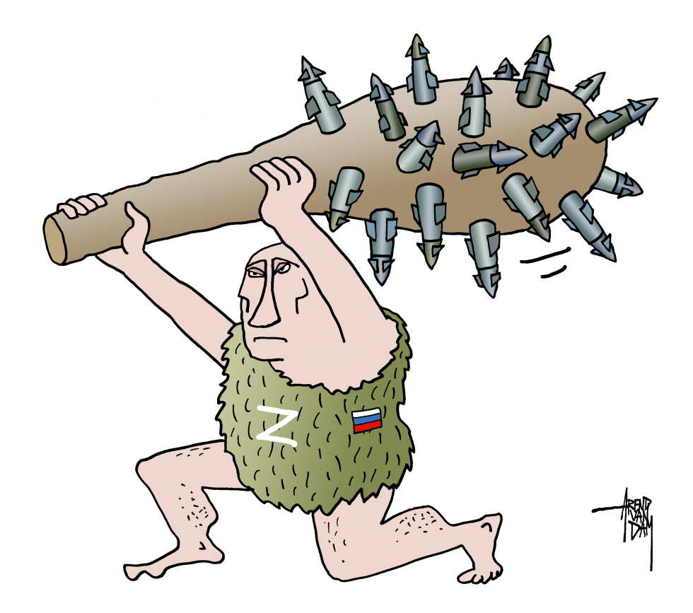 missile budgeon
