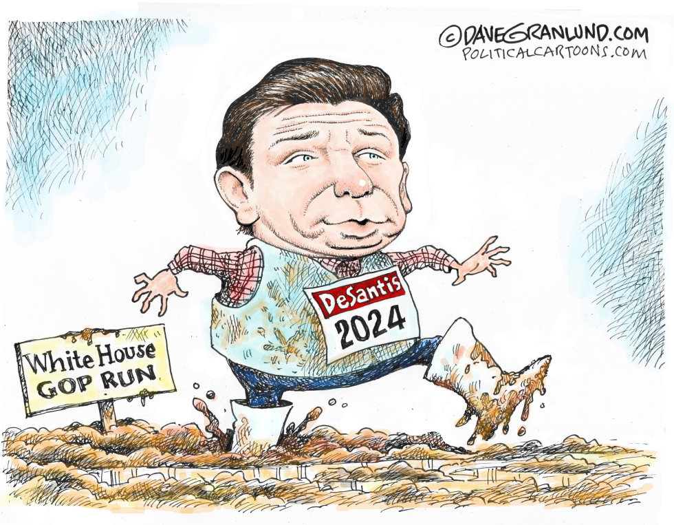 DeSantis 2024 White House Run