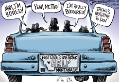 TIKTOK BAN by Joe Heller