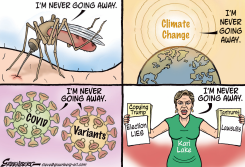 NEVER GOING AWAY KARI by Steve Greenberg