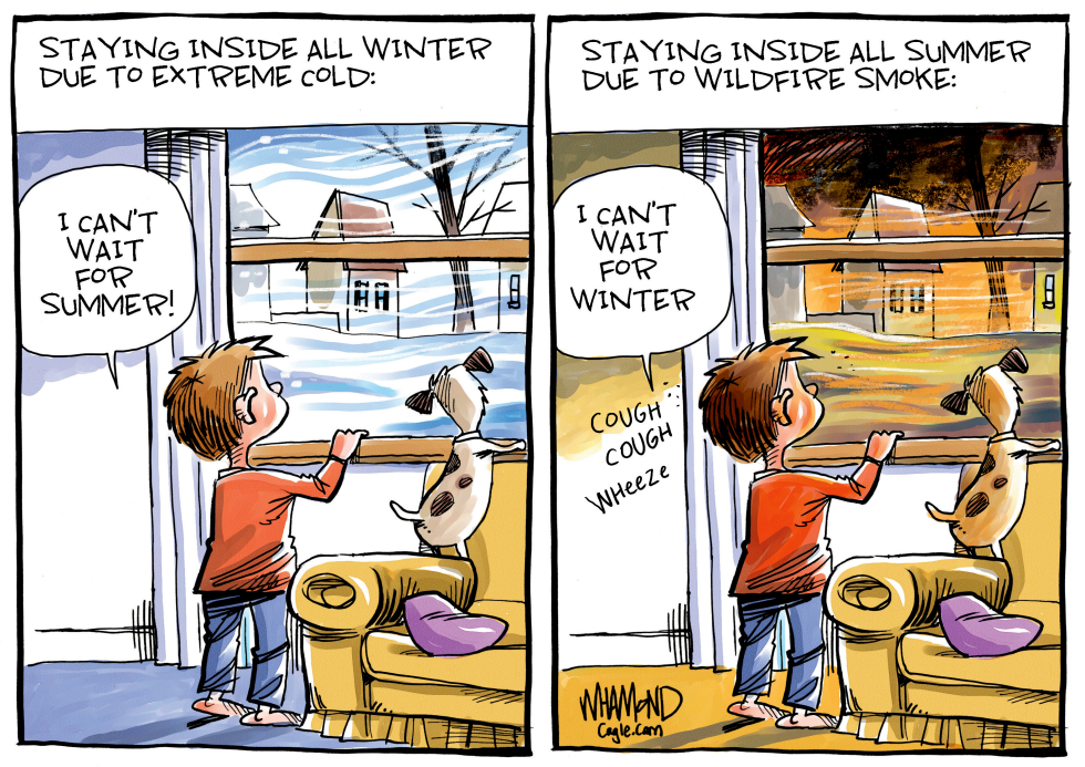 Seasonal contrasts highlight indoor living from weather extremes