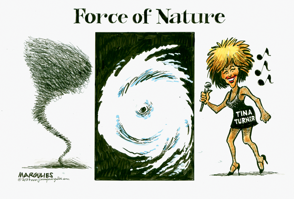 Tina Turner Obituary