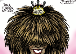 TINA TURNER by Joe Heller