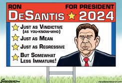 DESANTIS 2024 YARD SIGN by Steve Greenberg