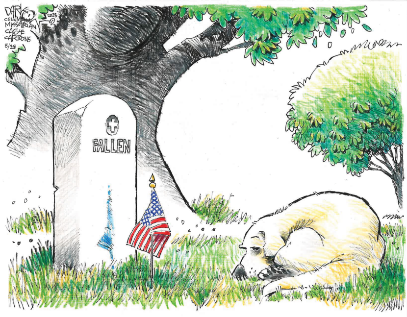 Memorial Day: A Loyal Dog's Tribute to the Fallen