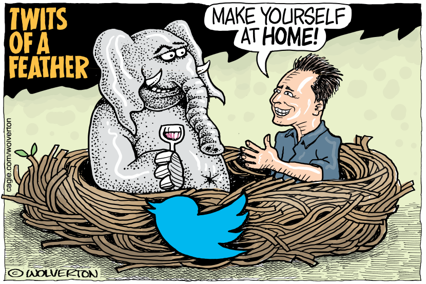 Twits of a Feather