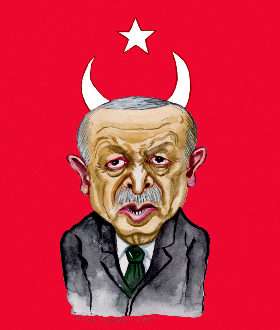  TURKEY ELECTIONS by Alla and Chavdar