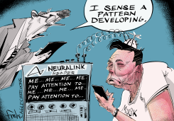 NARCISSISTIC LINK by Frank Hansen