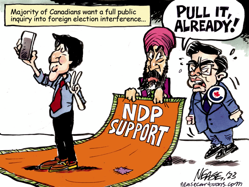 NDP Support
