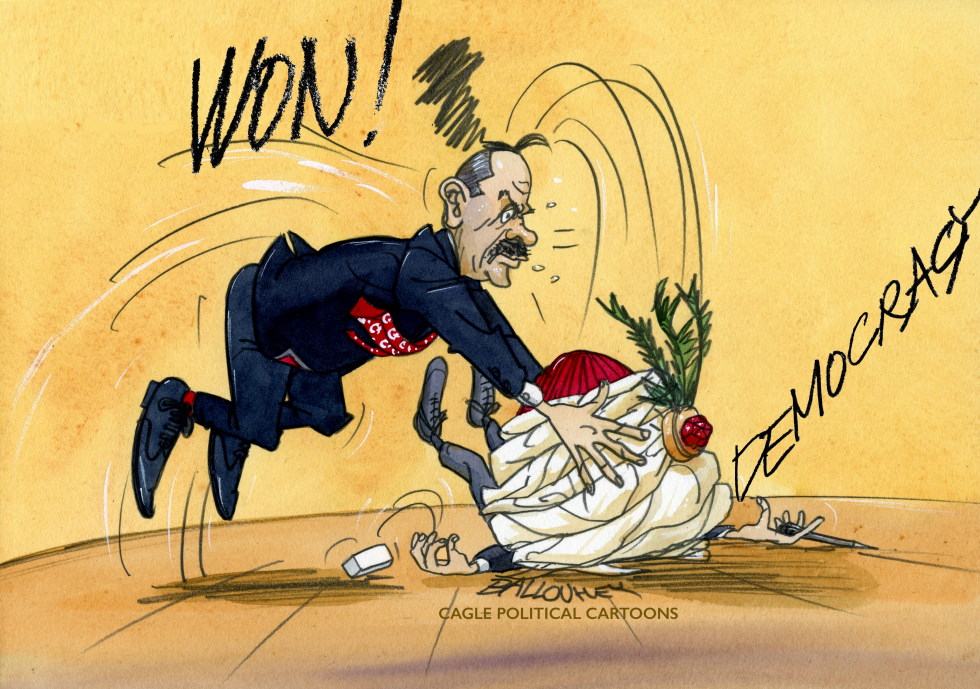 Erdogan won