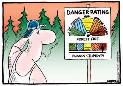 HUMAN STUPIDITY RATING by Ingrid Rice