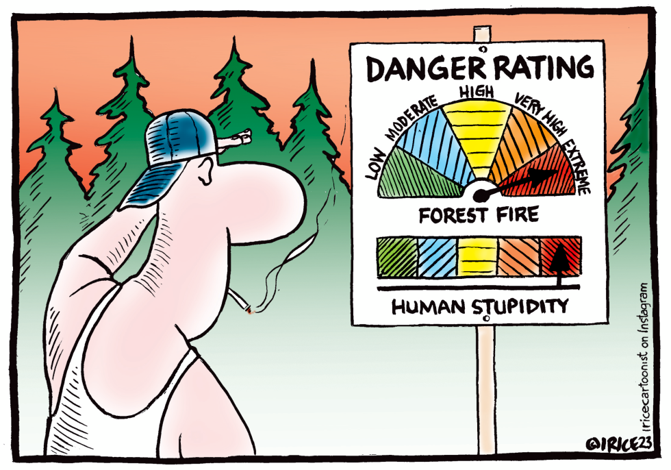 Human Stupidity Rating
