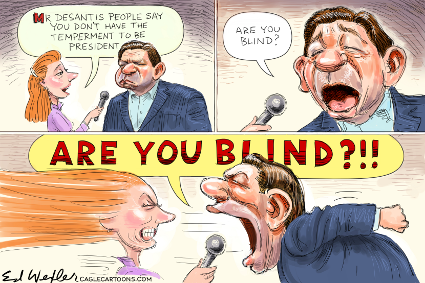 Desantis Are You Blind