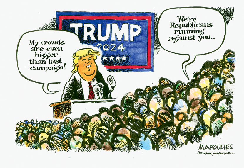 Trump Crowds
