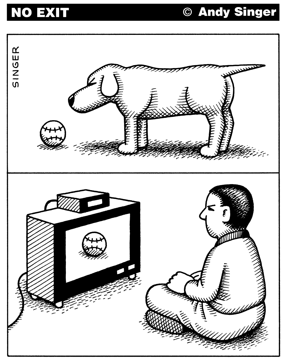 Balls and Dogs versus Balls and Humans