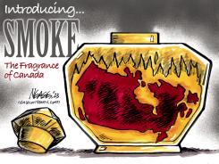 SMOKE by Steve Nease