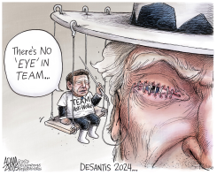 TEAM ANTI-WOKE by Adam Zyglis
