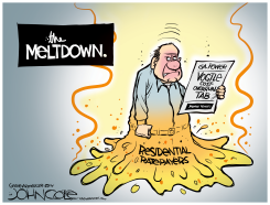 GEORGIA NUCLEAR RATEPAYER MELTDOWN by John Cole