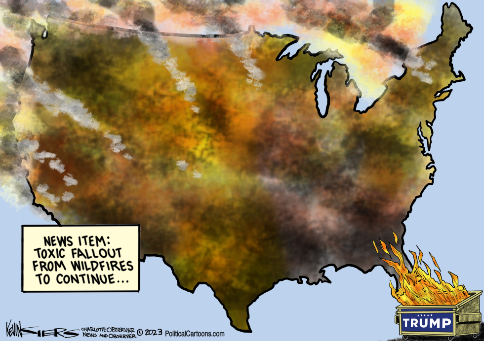 Trump Wildfire