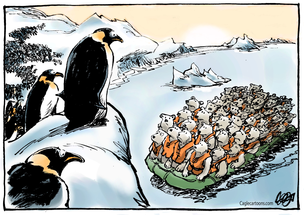  ARCTIC SUMMER ICE WILL DISAPPEAR IN THE FUTURE by Jos Collignon