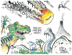WHAT ABOUT HILLARY by John Darkow