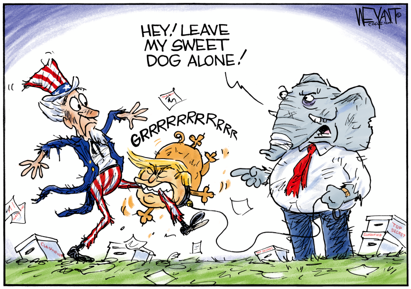 Bad Dog!