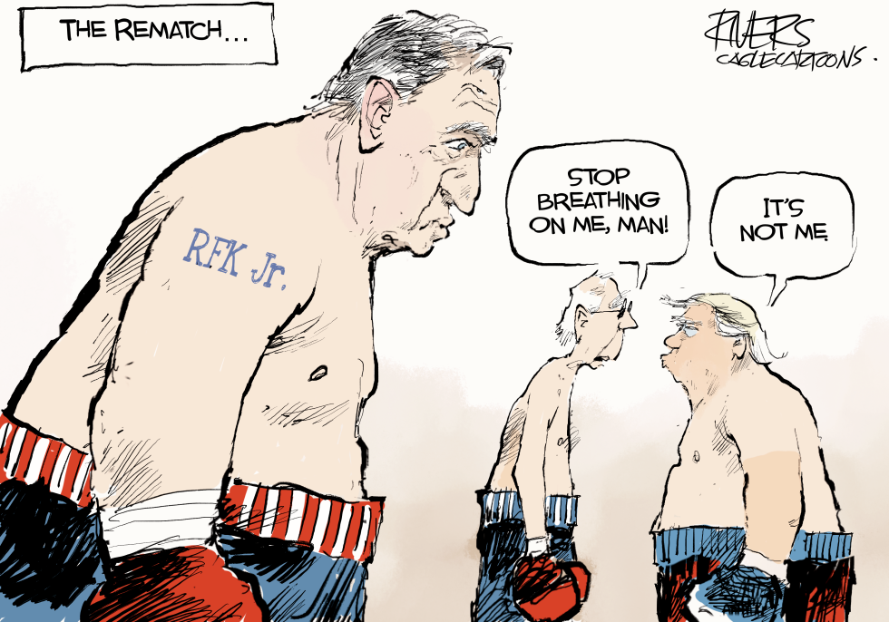 the rematch