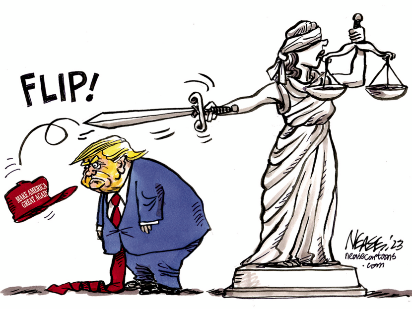 Hat Flip