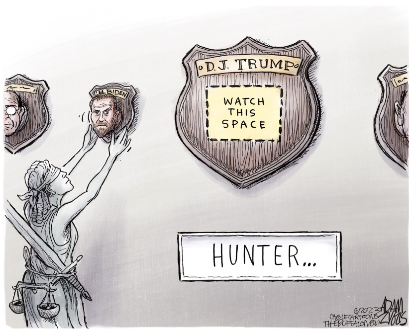 Hunter Biden Guilty Plea