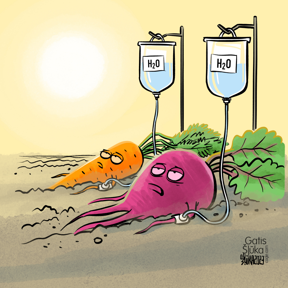 Dry summer