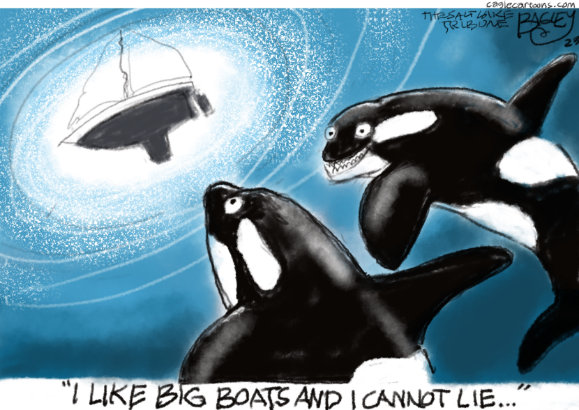 Whale Song