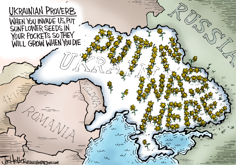 Ukraine Sunflowers