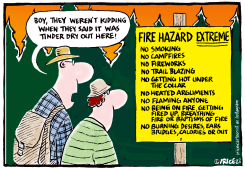 FIRE HAZARD EXTREME by Ingrid Rice
