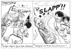SLAPP by Zapiro