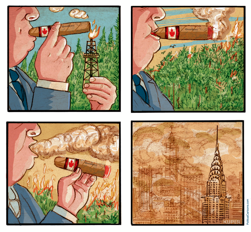 Canadian Forest Fires