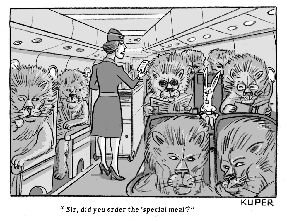 Airplane Special Meal