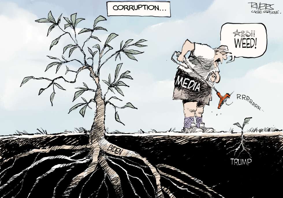 The Weeds