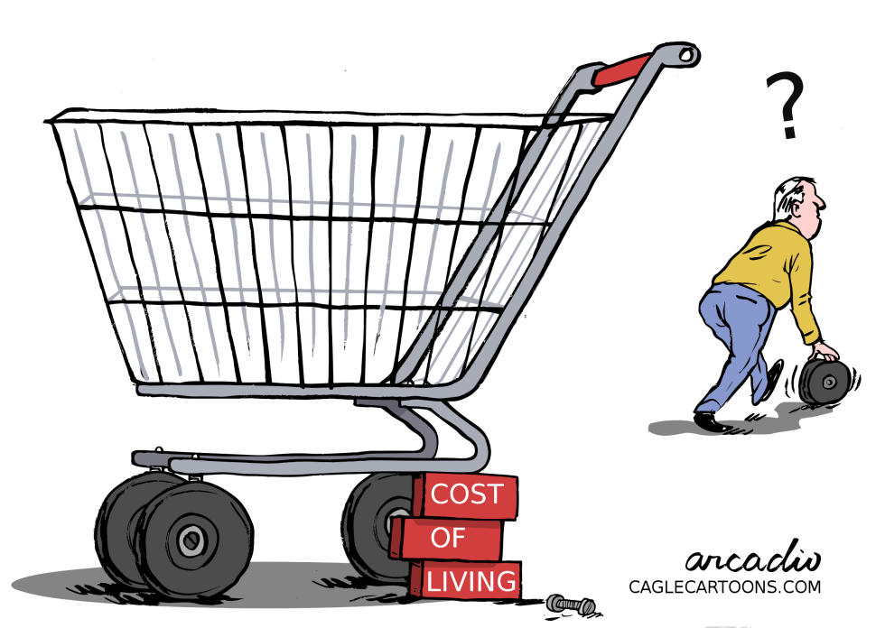 Shopping cart wheel replaced by cost of living blocks leaves consumer puzzled