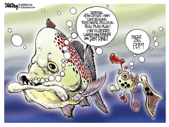 FLORIDA WATER POLLUTION by Bill Day