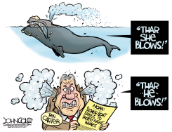 GEORGIA BOAT SPEEDS VS WHALE SAFETY by John Cole