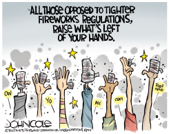 FIREWORKS SAFETY by John Cole