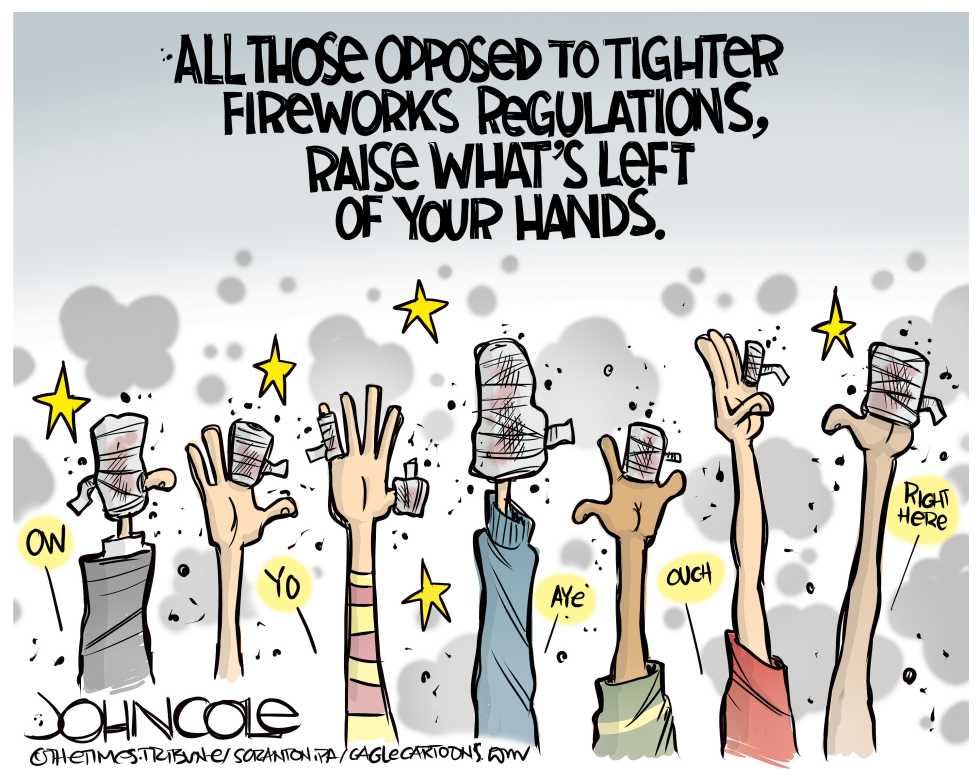 Fireworks safety
