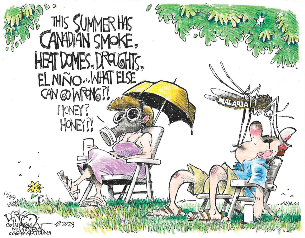 The Summer of our Discontent